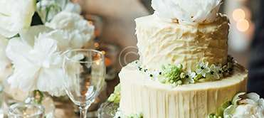 Garden Venue Packages